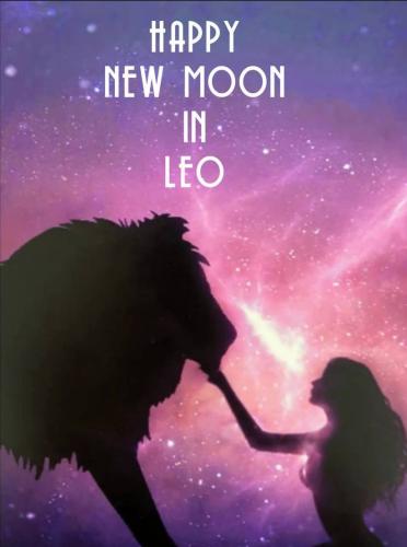 photo_2024-08-03_21-32-53