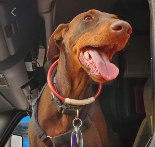 FB_IMG_1653778296989