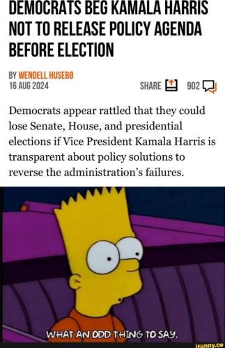 e17e373c-09c8-4bee-82c3-4fcc99dd167b