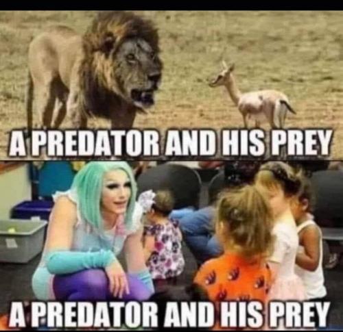 xephula_4d17086d5ae89205a42b96e75f69c005