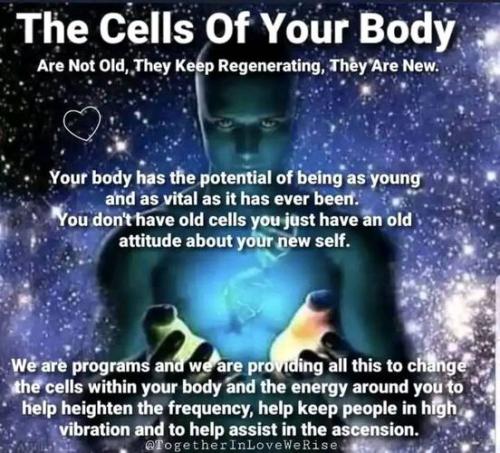 ,                          ,