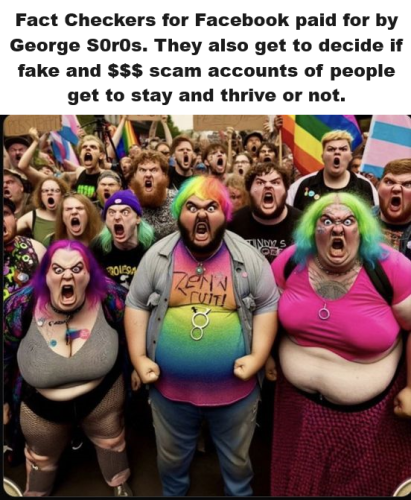 fb fact checkers