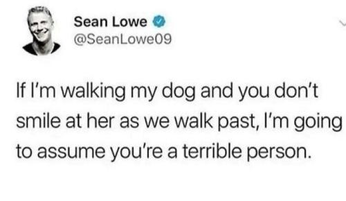 66b9ac6c33f21_funny-animal-feed-memes