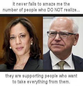 kamala harris411