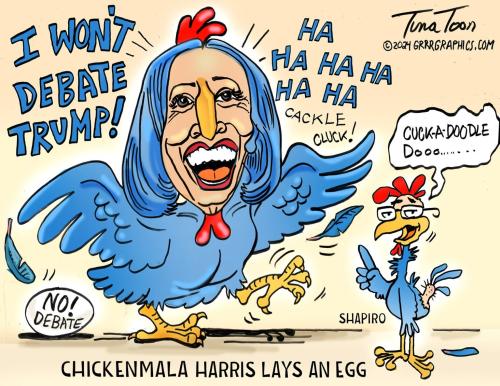 chickmala_cuck_shapiro-1536x1186