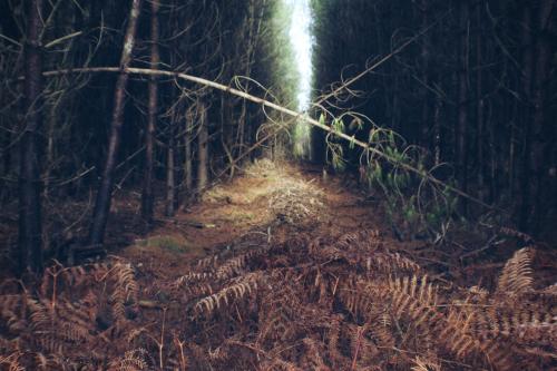 PicsArt_01-16-04.20.12