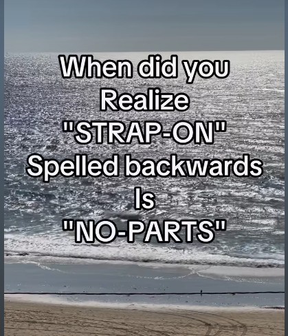 noparts