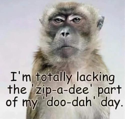 image_67F9CB68-0CD5-4E46-B945-467E0309F32A