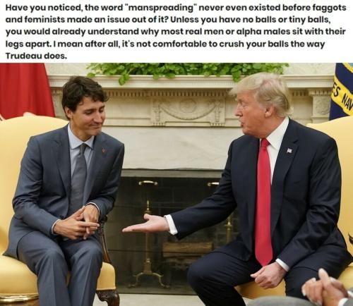 Birds and the Bees 2024.960px