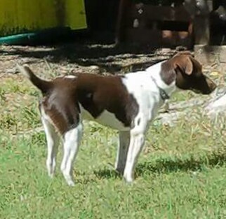 FB_IMG_1473627420038