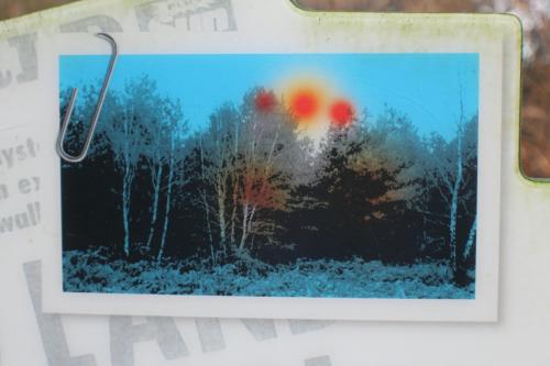 PicsArt_01-16-04.18.31