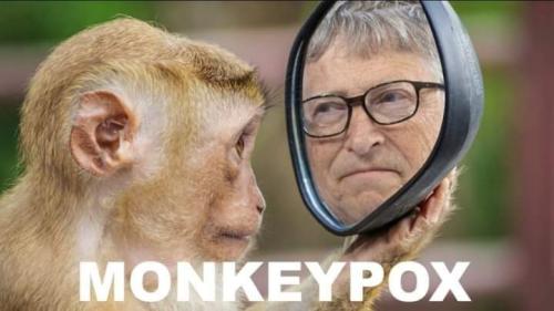 FB_IMG_1724257087481