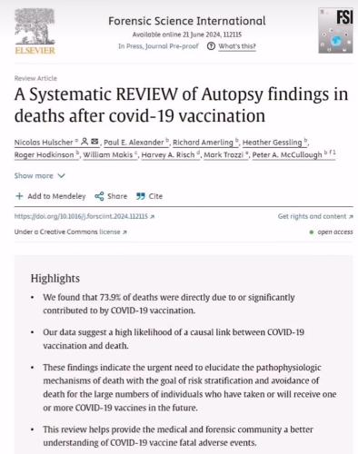 Screenshot_20240819_230221_Instagram