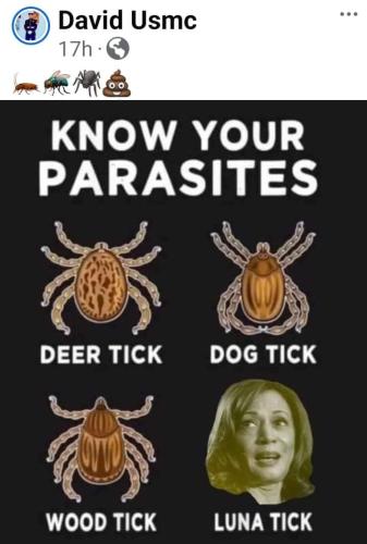 FB_IMG_1724513351546