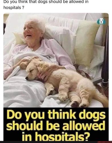 e662435e0f739414987e7abb10c131aee05feec007df9797347fb1d985ccf399_1