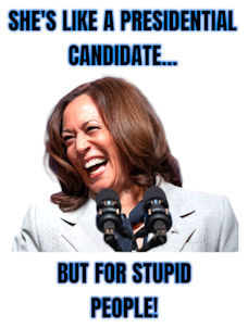 kamala harris395