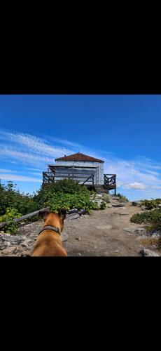 Screenshot_20240811_161937_Gallery