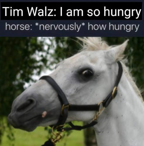 lolhorse
