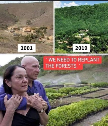 457074313_429761430079836_6732820800976335845_n