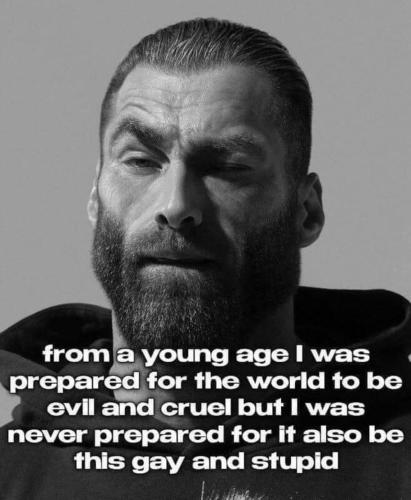 image_50512C03-25B7-4853-8BB1-FDC973413913