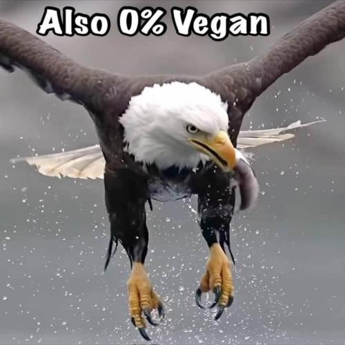 A07A3384-E66B-4D1F-A3CB-8305A640A47F