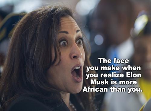the face you make when you realize elon musk is more african than you.960px
