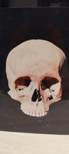 IMG_20240812_104956505