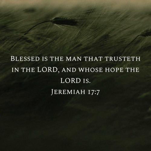 76a64363-7cfe-487d-aca2-7fc3d06ff89f