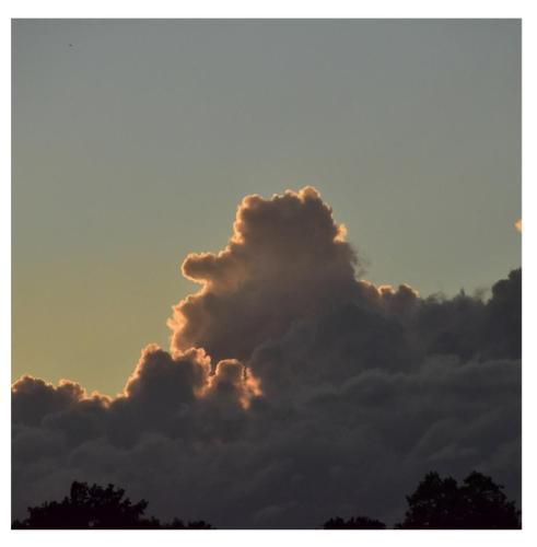 8c05bbdd-5727-449a-8172-fd65796fb2df