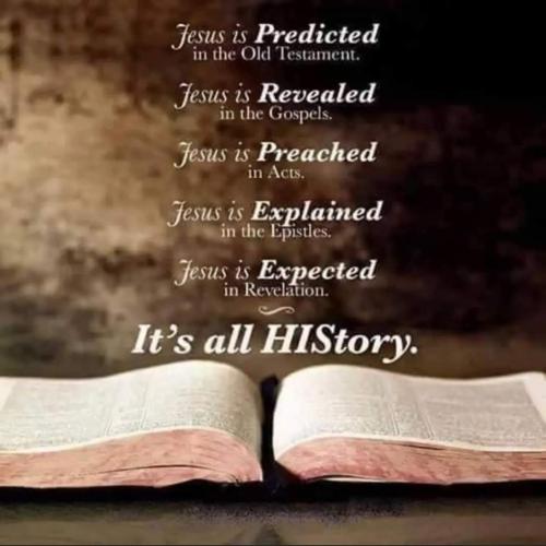 fe666a0b-73f0-4e28-8e47-360692e5767c