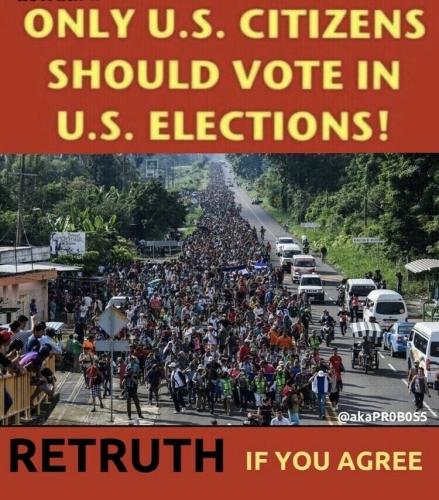 no illegals voting