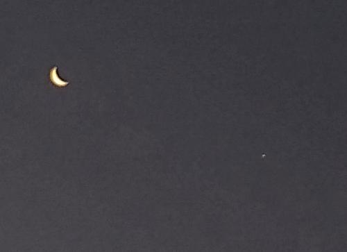 IMG_20240731_045344957