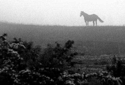 PicsArt_06-08-12.59.07~2 (1)