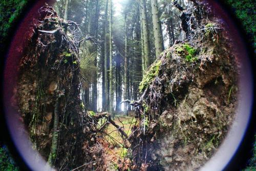 FB_IMG_1594947062983