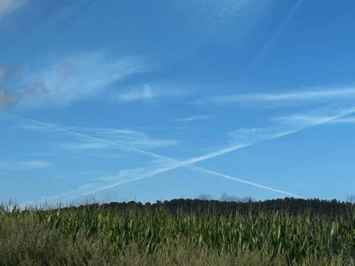 c6964d08-412d-41ae-9bf7-7d4c5d3e5090