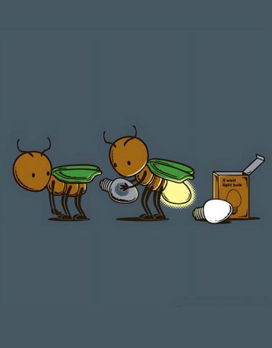 453416767_122156856836093544_1468903862226540171_n