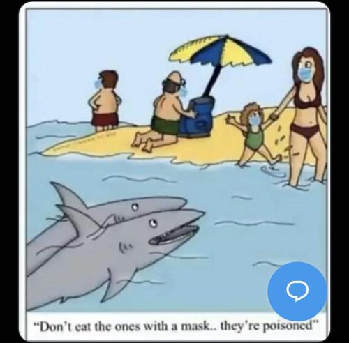 IMG_20240814_163730_767