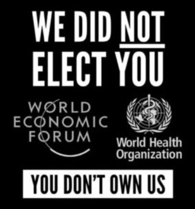 image_2024-08-17_101830073