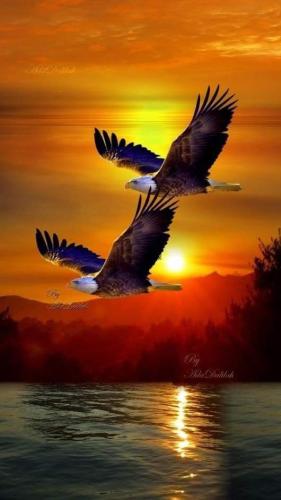 6aa7b2759c913899ceccc0baa9e6b346