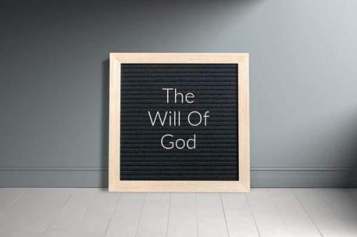 1a4d5858-cdc8-4bd1-b18f-958e764dc7d6