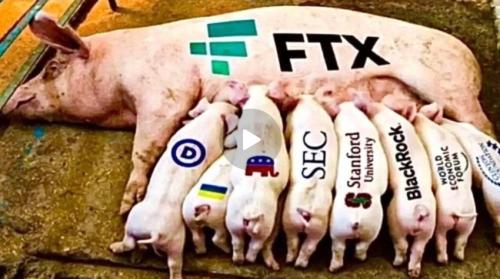 FTX Piglets screenshot