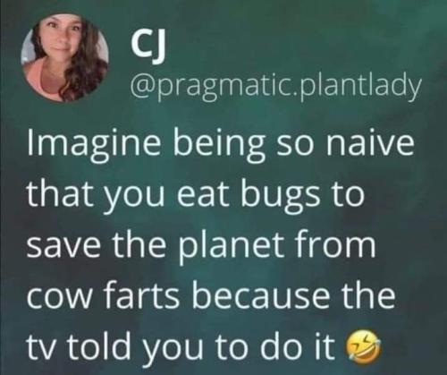 so naive