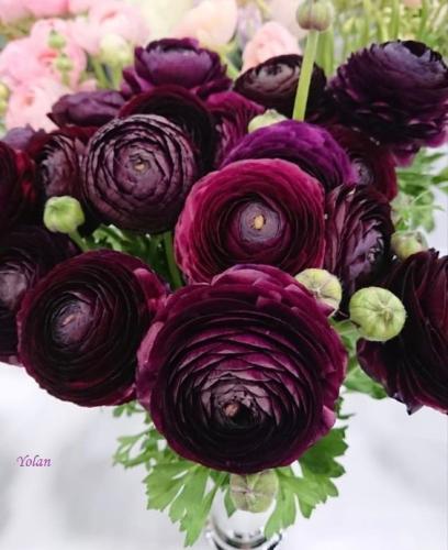 00:30:35 GMT-0500 (CDT)