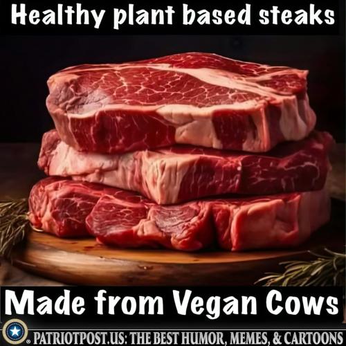 Vegan Cows