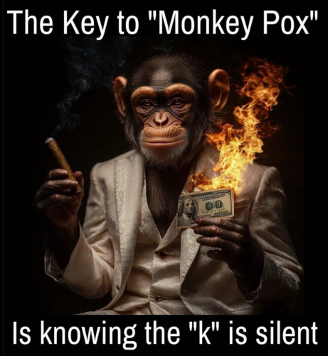 monkeypox moneypox