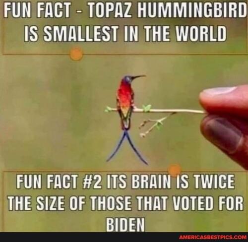 23b51481acbde8c8c35e61eb6c80f64aa4ee5bb84bd126b20bf496840f2b9b0b_1