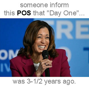 kamala harris393