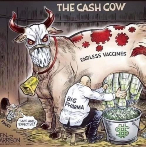 Cash Cow 2024