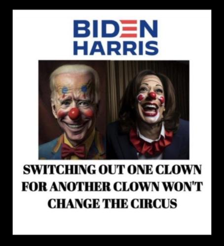 Screenshot_20240819_044653_X