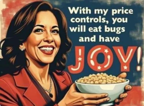 e7276468-eac7-4cd8-afaa-db102cf08d47